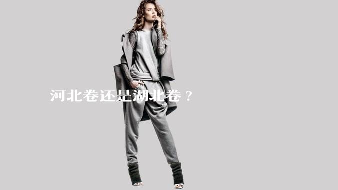 河北卷还是湖北卷?