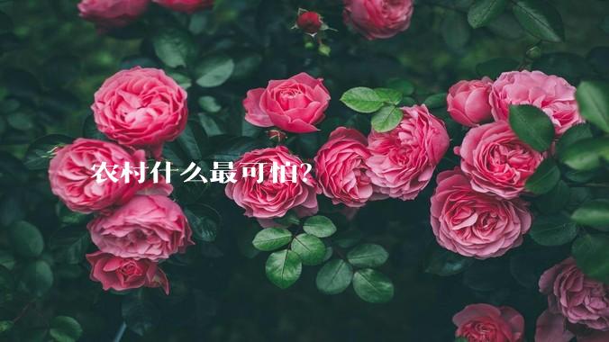 农村什么最可怕？